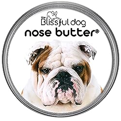 Use dog nose butter or balm to soothe and repair dry noses.