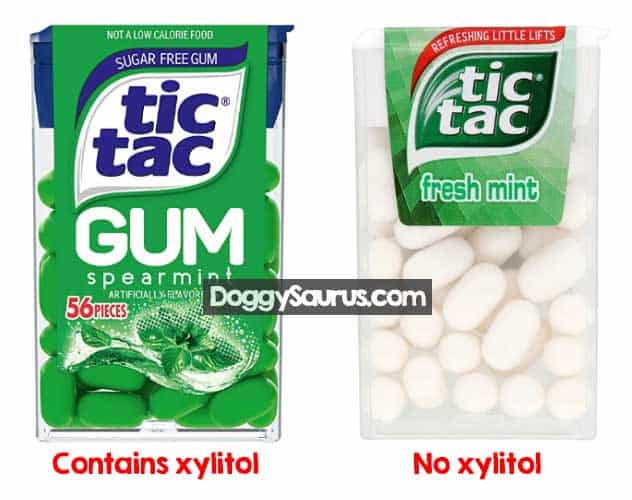 Can Dogs Eat Tic Tacs