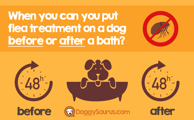 can you put flea medicine on a dog right after a bath