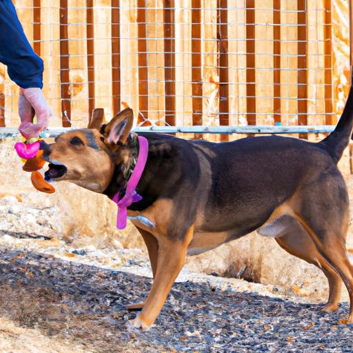 Positive reinforcement training can effectively address destructive chewing behavior in dogs.