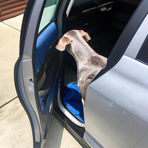 Car door protector providing a barrier against scratches and dirt