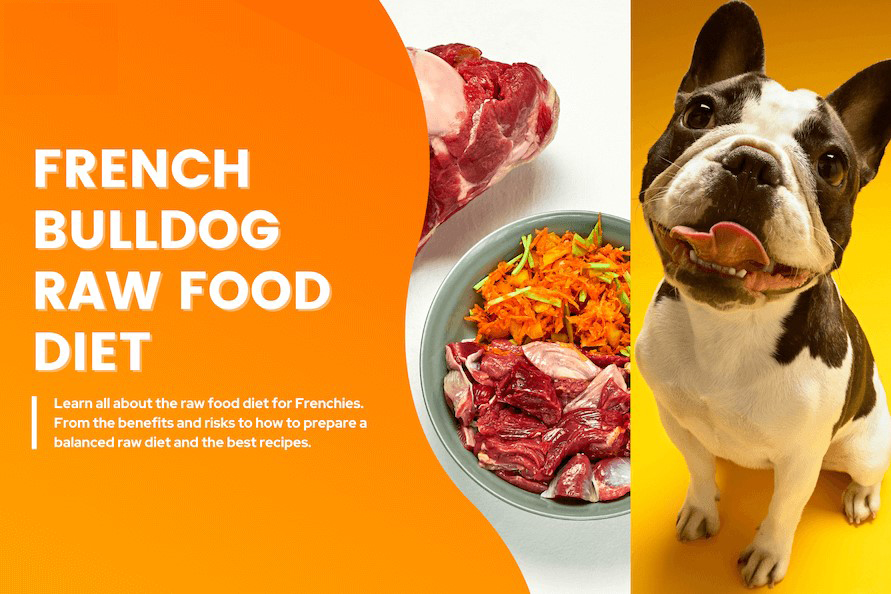 Change Your Frenchie’s Diet