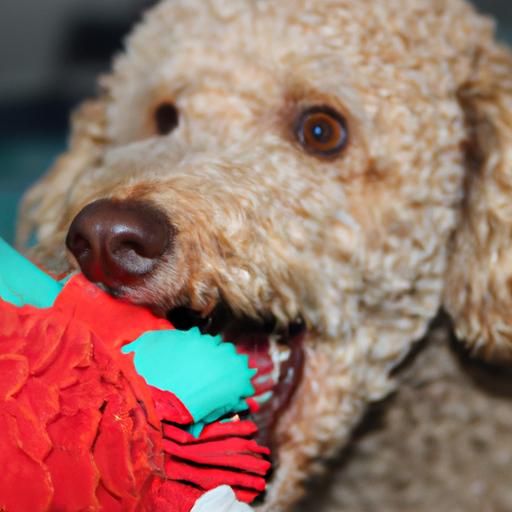 A dog enjoying a playful moment with an assortment of toys.