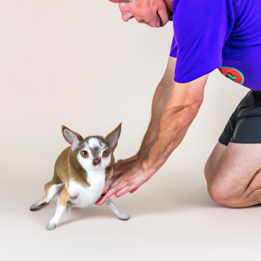 If ankle biting behavior persists or escalates, seeking professional help may be necessary.